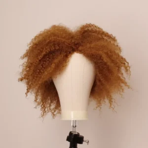 AFRO11